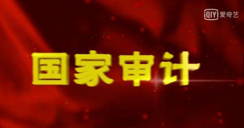 国家审计电视剧在线观看,揭秘电视剧在线观看背后的故事  第3张