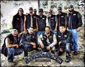 兄弟连美国电视连续剧在线观看,重温二战传奇，在线观看重温历史荣光  第1张